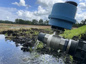 Wasserzulauf im Hankhauser Moor