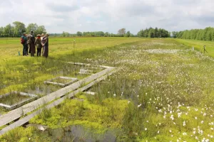 Ministerin zu Besuch im Hankhauser Moor © Greta Gaudig