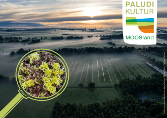 Postkarte Torfmoos-Paludikultur im Hankhauser Moor (A6)