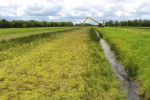 Pflegemahd im Hankhauser Moor © Greta Gaudig