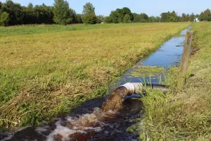 Wasserzulauf im Hankhauser Moor © Greta Gaudig